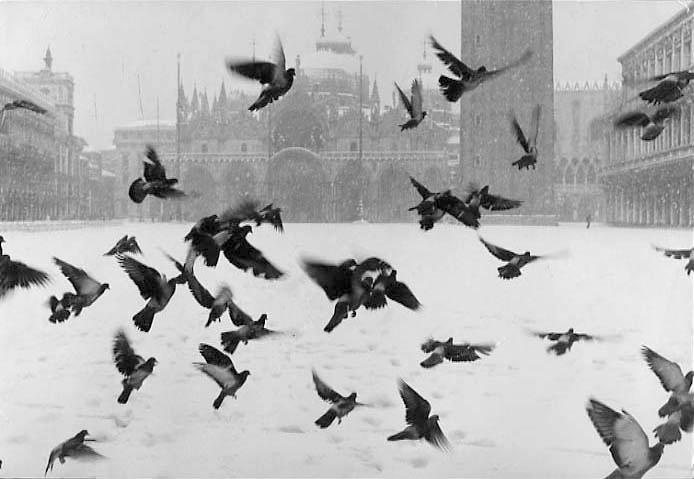 Venice. San Marco, 1960 c.