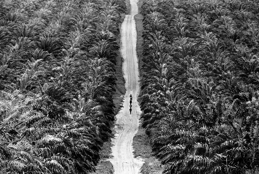 Ivory Coast, 1970