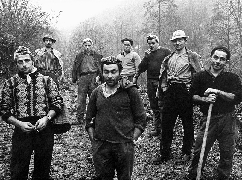Lumberjacks on Mount Misma, 1966